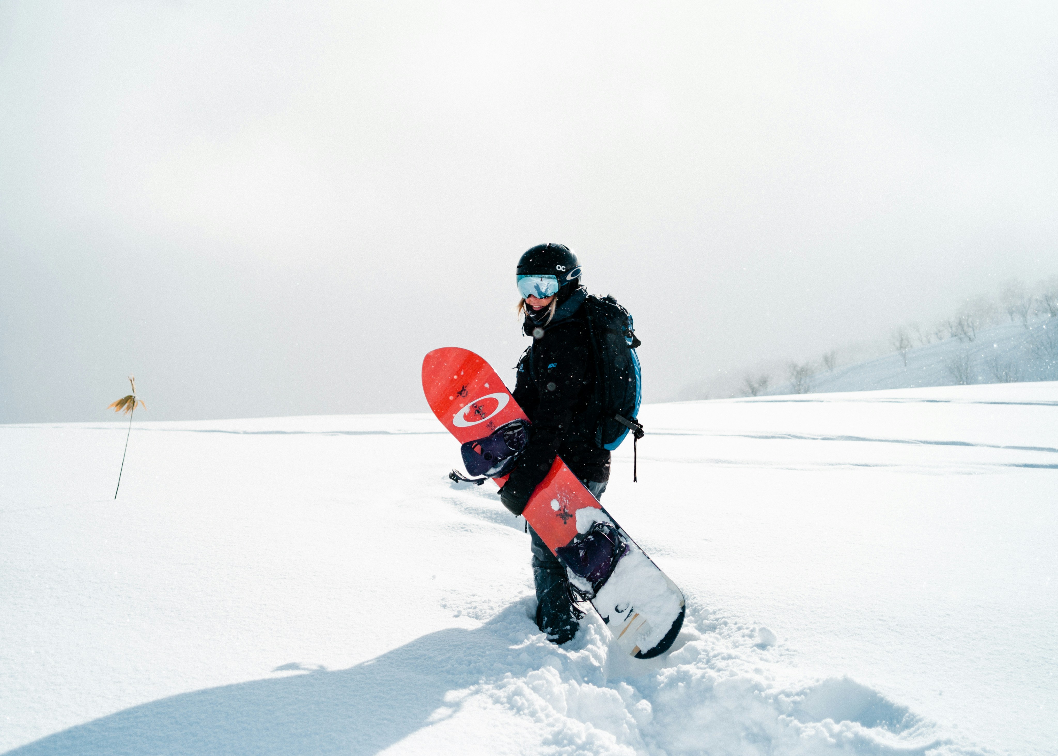 Experience snowboard - Journalier